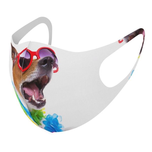 }XN 2Zbg fUC 􂦂 |GXe Y fB[X j  ǂ WjA c Aw ʐ^@Jt@@ 008914