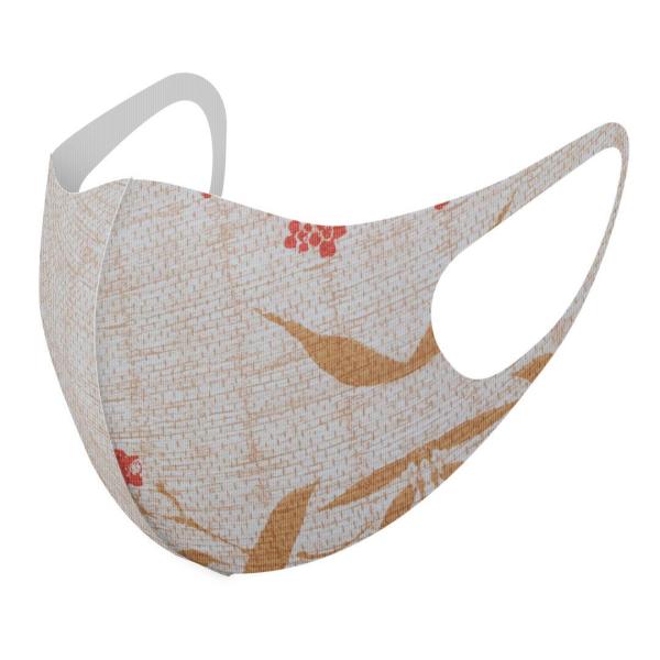 }XN 2Zbg fUC 􂦂 |GXe Y fB[X j  ǂ WjA c Aw a@a@ԁ@t[ 008931