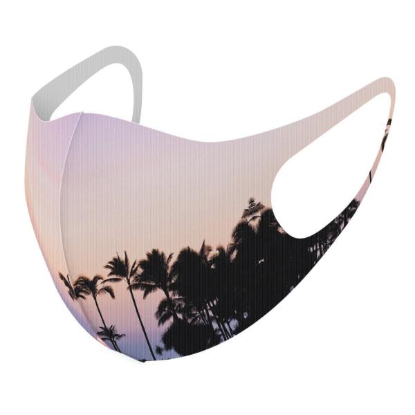 }XN 2Zbg fUC 􂦂 |GXe Y fB[X j  ǂ WjA c Aw i@iF@ʐ^ 009393