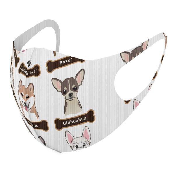 }XN 2Zbg fUC 􂦂 |GXe Y fB[X j  ǂ WjA c Aw @@CXg 009412