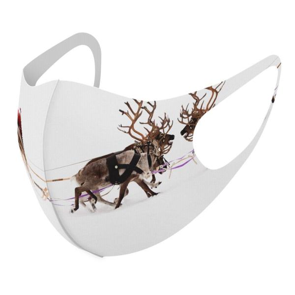 }XN 2Zbg fUC 􂦂 |GXe Y fB[X j  ǂ WjA c Aw NX}X@T^@ʐ^ 009501