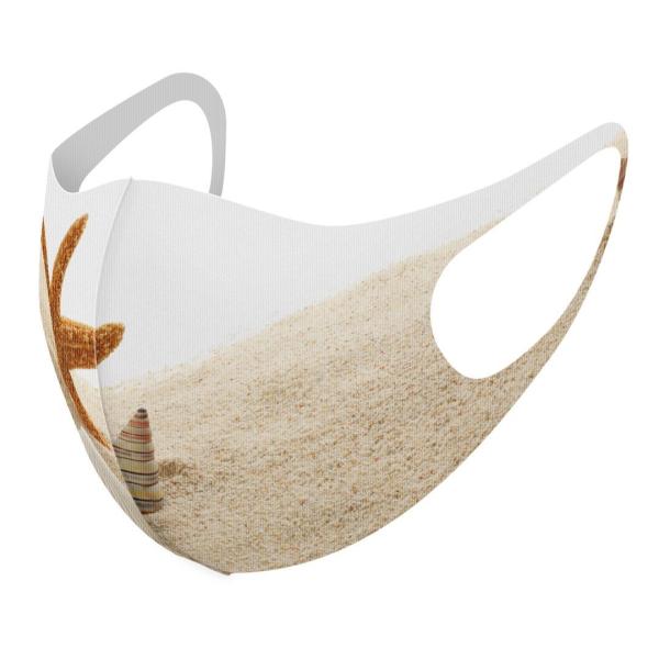 }XN 2Zbg fUC 􂦂 |GXe Y fB[X j  ǂ WjA c Aw Lk@C@ʐ^ 009536