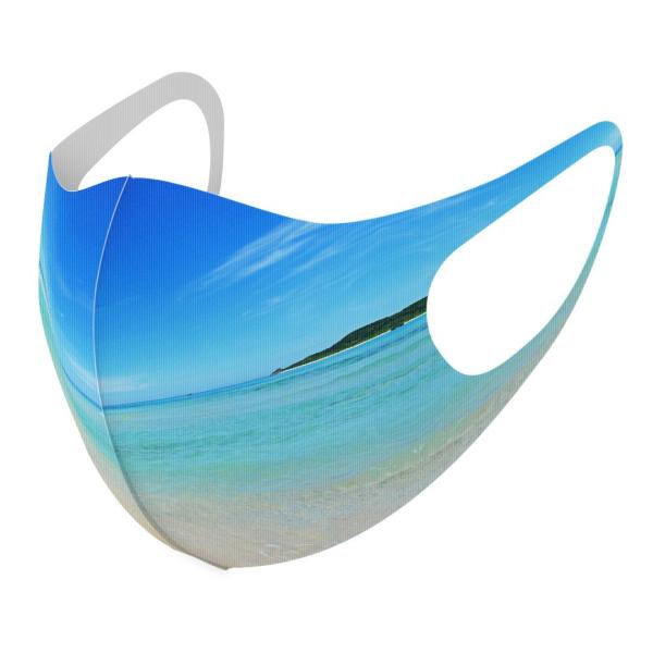 }XN 2Zbg fUC 􂦂 |GXe Y fB[X j  ǂ WjA c Aw i@C@@ʐ^ 009637