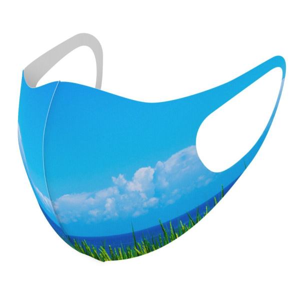 }XN 2Zbg fUC 􂦂 |GXe Y fB[X j  ǂ WjA c Aw i@@C@ʐ^ 009748