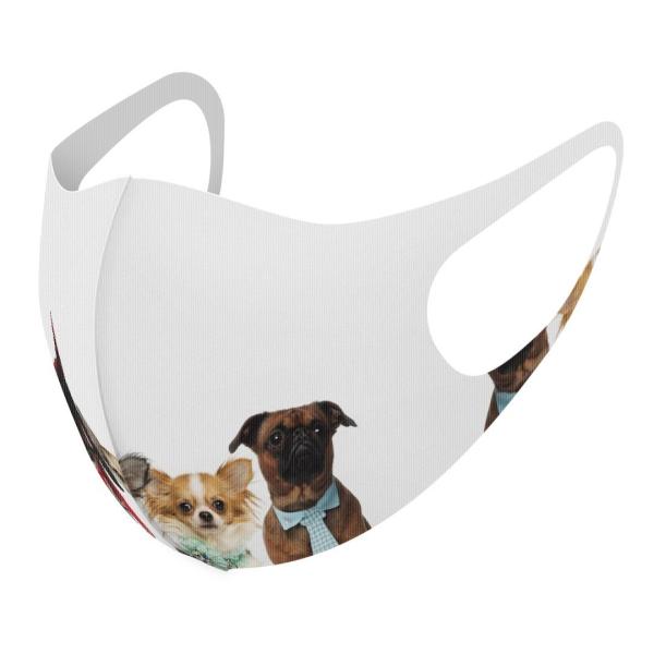 }XN 2Zbg fUC 􂦂 |GXe Y fB[X j  ǂ WjA c Aw @@ʐ^ 009810