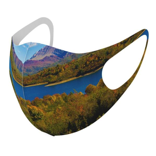 }XN 2Zbg fUC 􂦂 |GXe Y fB[X j  ǂ WjA c Aw i@iF@ʐ^ 009833