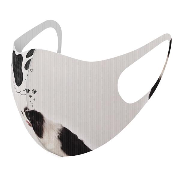 }XN 2Zbg fUC 􂦂 |GXe Y fB[X j  ǂ WjA c Aw @@ʐ^ 009900