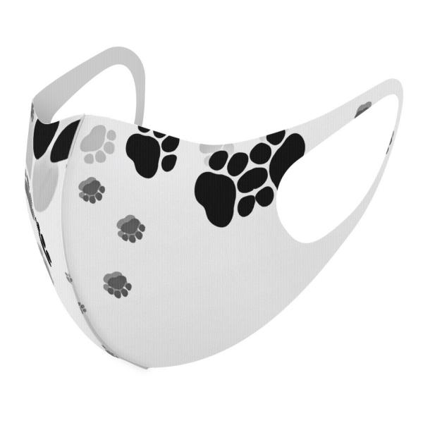 }XN 2Zbg fUC 􂦂 |GXe Y fB[X j  ǂ WjA c Aw @Ձ@@ 010216