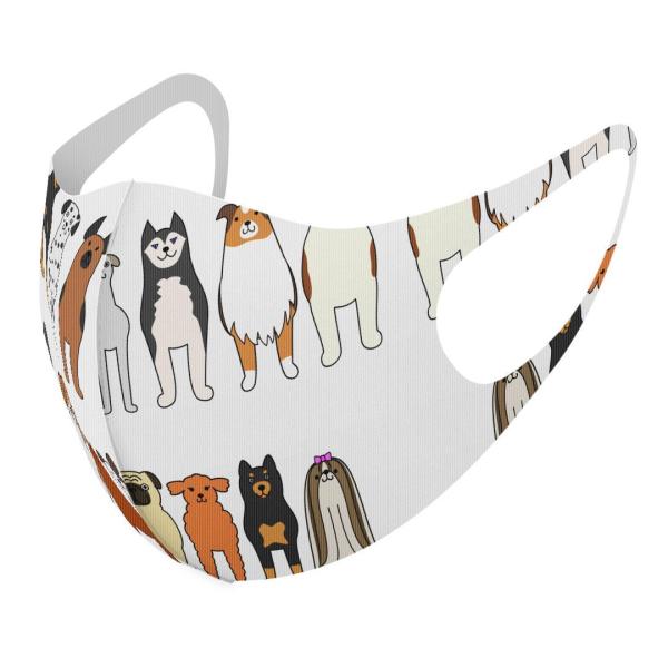 }XN 2Zbg fUC 􂦂 |GXe Y fB[X j  ǂ WjA c Aw @@LN^[ 010298