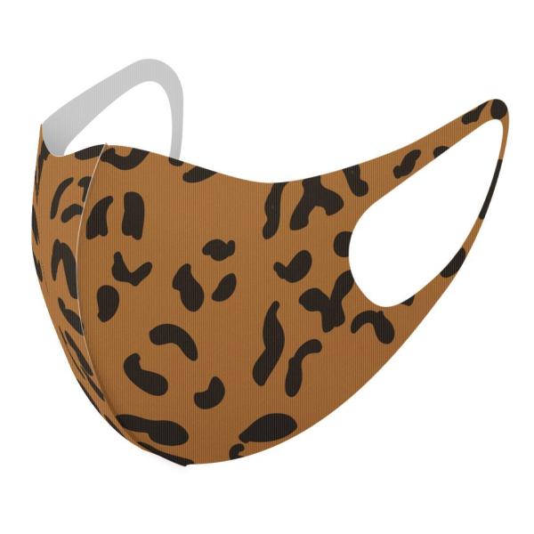 }XN 2Zbg fUC 􂦂 |GXe Y fB[X j  ǂ WjA c Aw qE@@͗l 010645