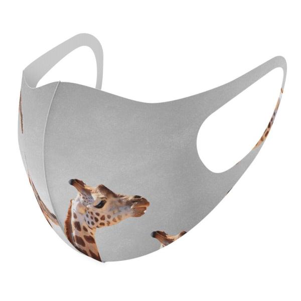 }XN 2Zbg fUC 􂦂 |GXe Y fB[X j  ǂ WjA c Aw @@ʐ^ 010988