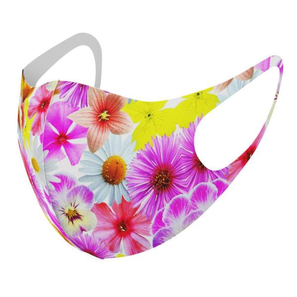 }XN 2Zbg fUC 􂦂 |GXe Y fB[X j  ǂ WjA c Aw ԁ@t[@Jt 011115