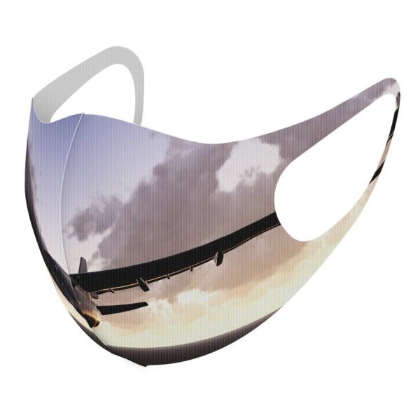 �}�X�N 2���Z�b�g �f�U�C�� �􂦂� �|���G�X�e�� �����Y ���f�B�[�X �j�� ���� ���ǂ� �W���j�A �c�� ���A�w�� ��蕨�@��s�@�@�� 011231