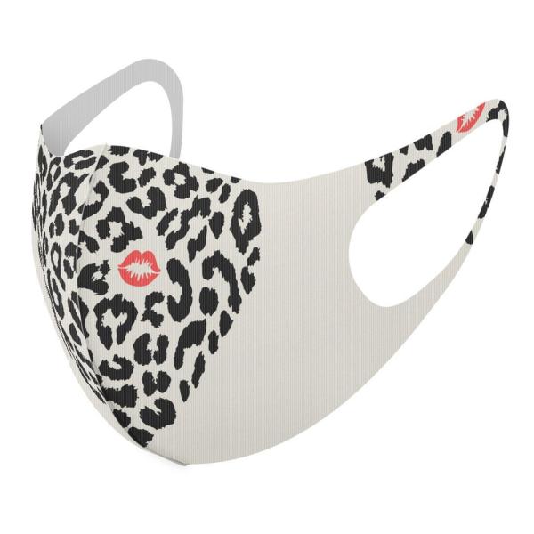 }XN 2Zbg fUC 􂦂 |GXe Y fB[X j  ǂ WjA c Aw qE@т@Ip[h 011300