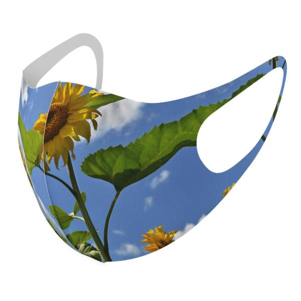 }XN 2Zbg fUC 􂦂 |GXe Y fB[X j  ǂ WjA c Aw ԁ@Ђ܂@ʐ^ 011366