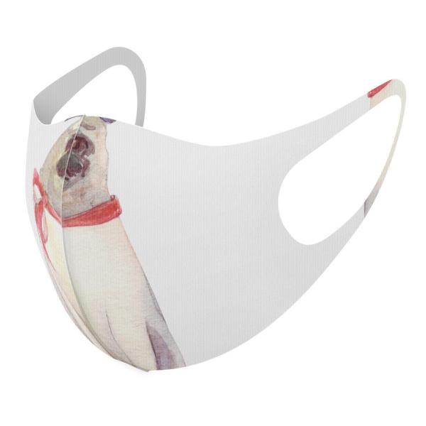 }XN 2Zbg fUC 􂦂 |GXe Y fB[X j  ǂ WjA c Aw @@pO 011407