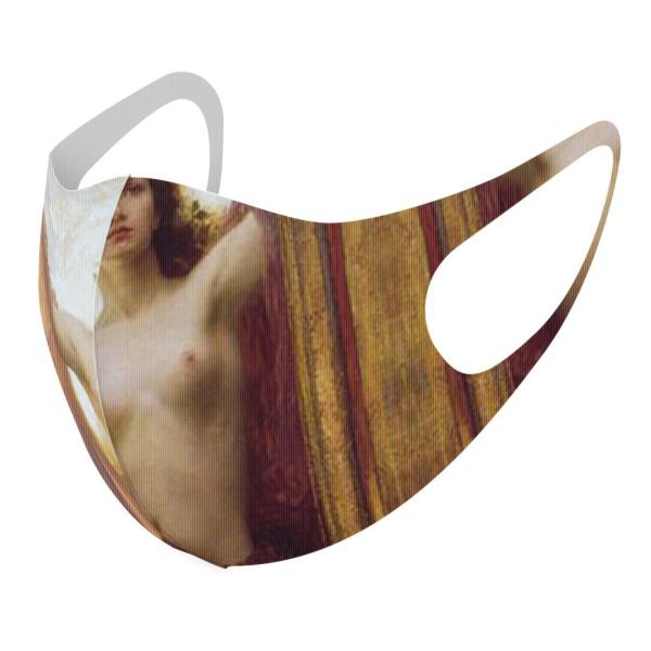 }XN 2Zbg fUC 􂦂 |GXe Y fB[X j  ǂ WjA c Aw CXg@l@G 011460