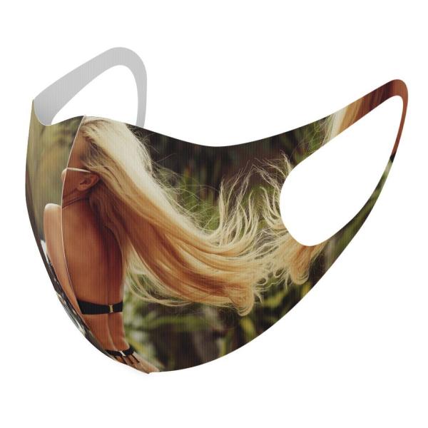 }XN 2Zbg fUC 􂦂 |GXe Y fB[X j  ǂ WjA c Aw @@ 011533