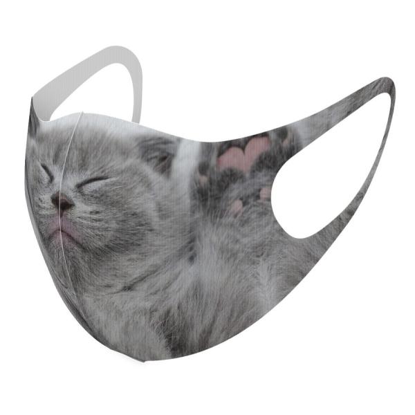 }XN 2Zbg fUC 􂦂 |GXe Y fB[X j  ǂ WjA c Aw L@@ʐ^ 011682