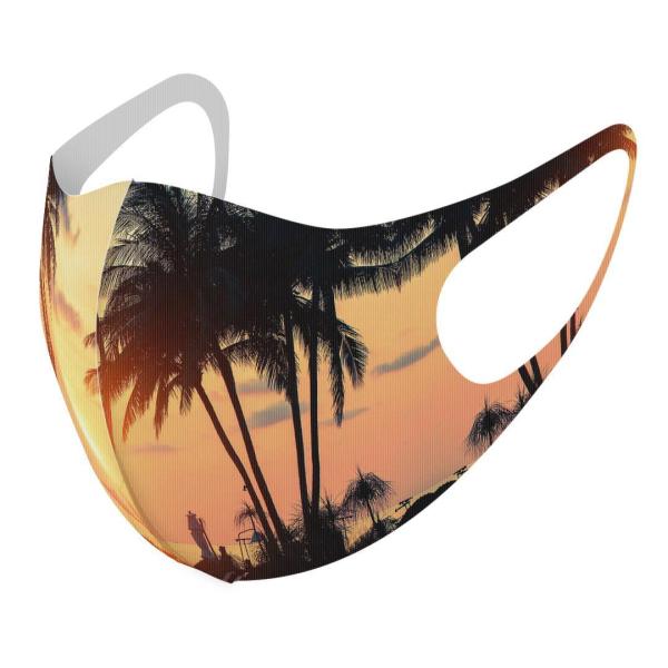 }XN 2Zbg fUC 􂦂 |GXe Y fB[X j  ǂ WjA c Aw ʐ^@V̖؁@[Ă 011779