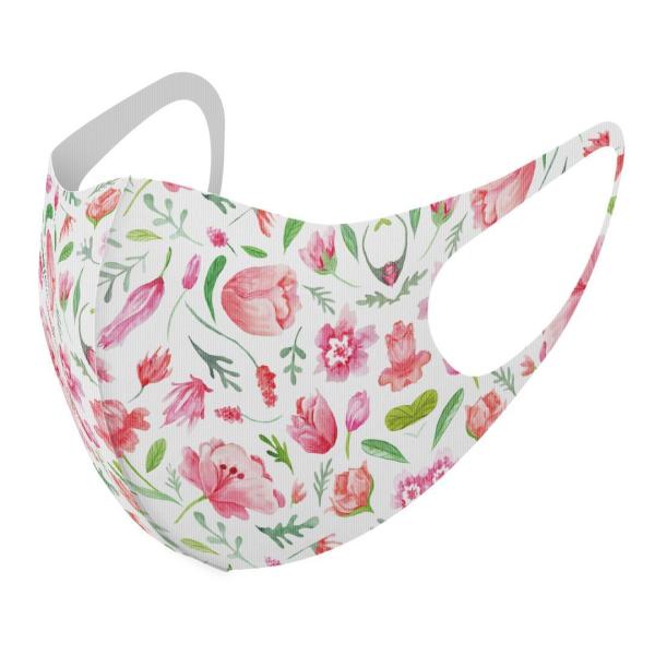 }XN 2Zbg fUC 􂦂 |GXe Y fB[X j  ǂ WjA c Aw ԕ@sN@킢 011876