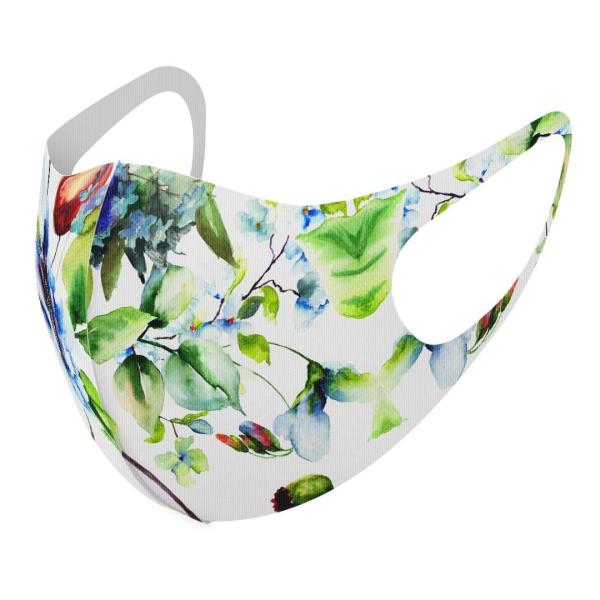 }XN 2Zbg fUC 􂦂 |GXe Y fB[X j  ǂ WjA c Aw ԕ@t[@@ 011877