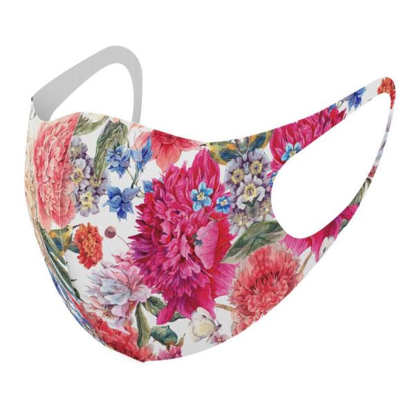 }XN 2Zbg fUC 􂦂 |GXe Y fB[X j  ǂ WjA c Aw ԕ@ԁ@sN 011883