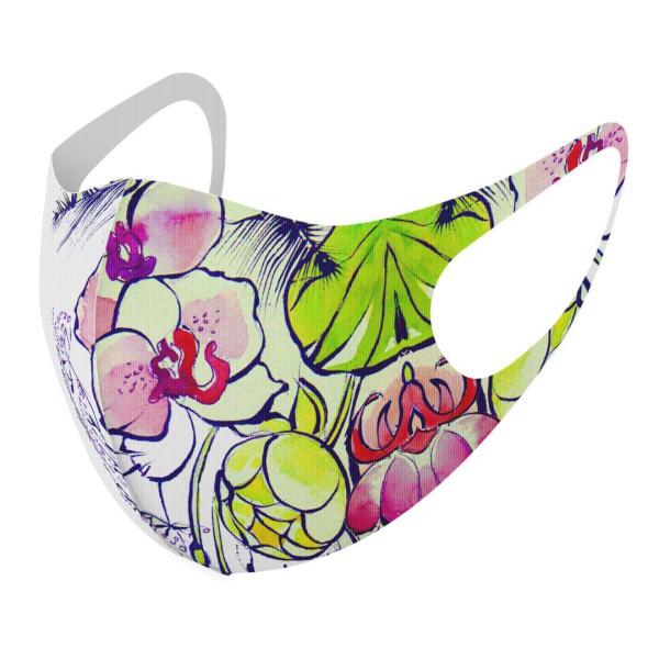 }XN 2Zbg fUC 􂦂 |GXe Y fB[X j  ǂ WjA c Aw ԁ@ԕ@p 011885