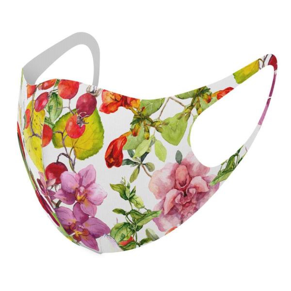 }XN 2Zbg fUC 􂦂 |GXe Y fB[X j  ǂ WjA c Aw ԁ@ԕ@ 011895