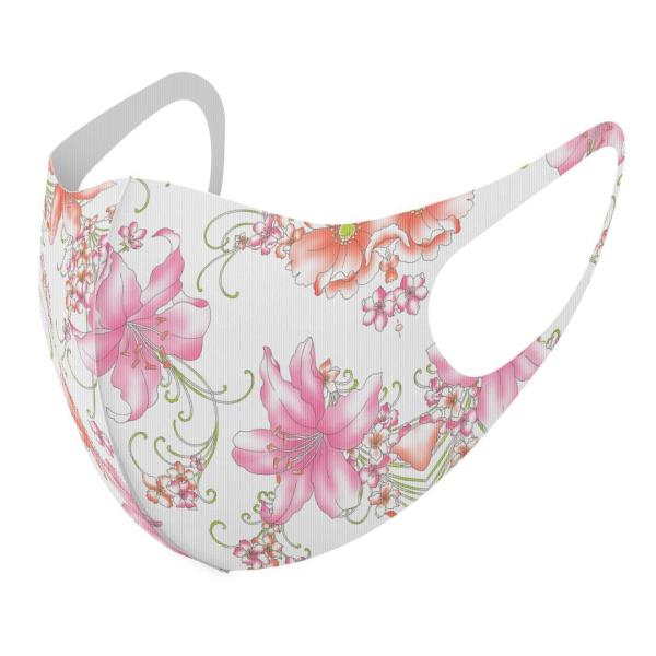 }XN 2Zbg fUC 􂦂 |GXe Y fB[X j  ǂ WjA c Aw ԕ@sN@ 011900