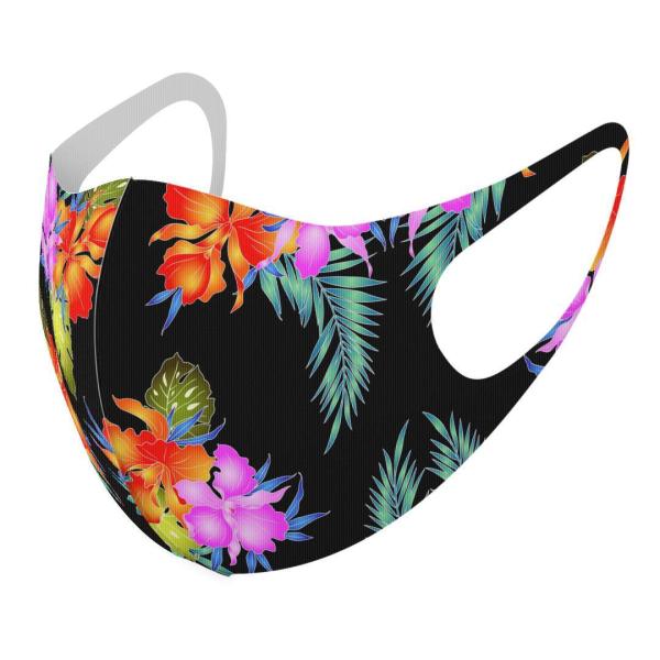 }XN 2Zbg fUC 􂦂 |GXe Y fB[X j  ǂ WjA c Aw @Jt@ 011926