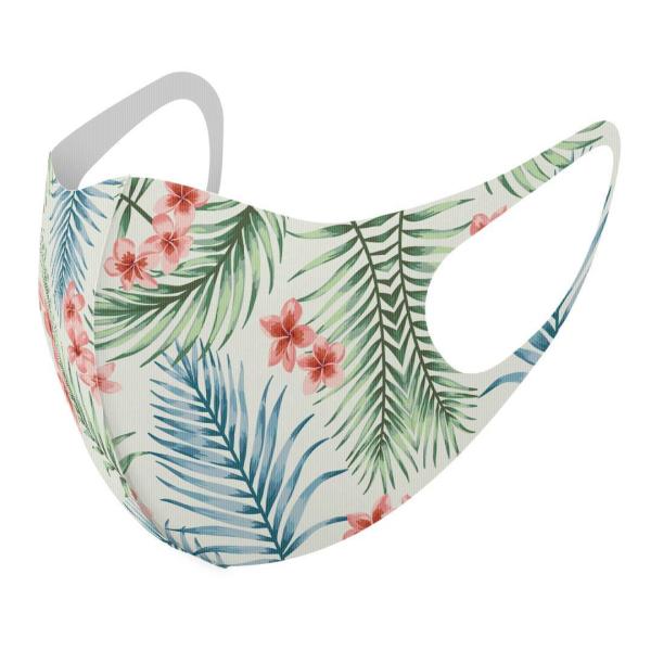 }XN 2Zbg fUC 􂦂 |GXe Y fB[X j  ǂ WjA c Aw A@ԁ@΁@ 011940