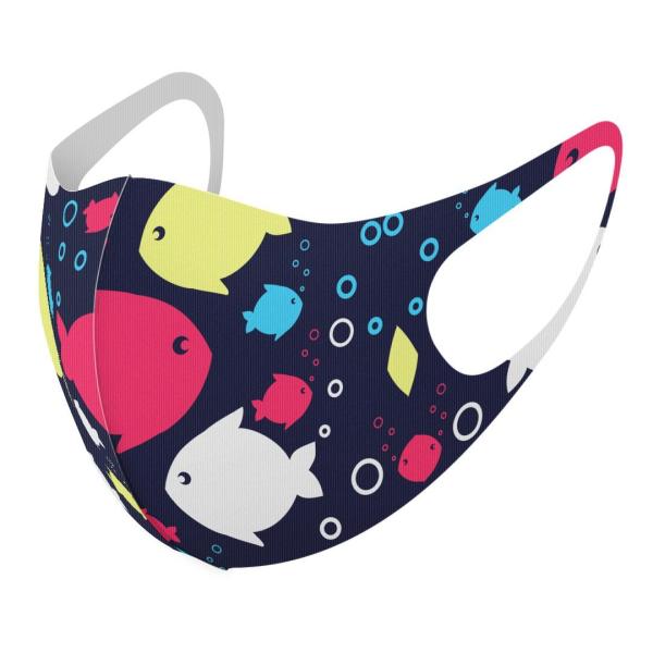 }XN 2Zbg fUC 􂦂 |GXe Y fB[X j  ǂ WjA c Aw @CXg@킢 011972