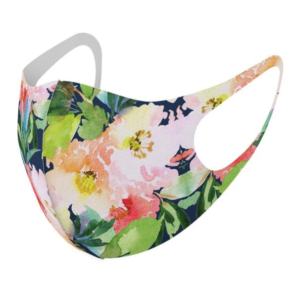 }XN 2Zbg fUC 􂦂 |GXe Y fB[X j  ǂ WjA c Aw ԁ@A@lCr[ 012058