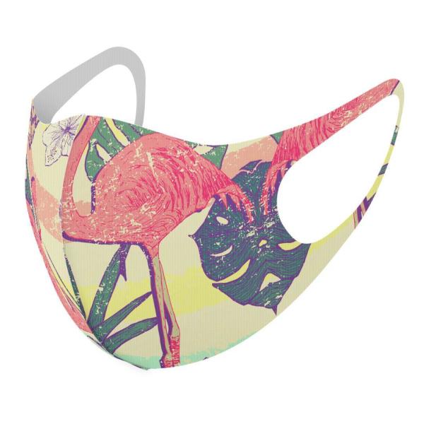 }XN 2Zbg fUC 􂦂 |GXe Y fB[X j  ǂ WjA c Aw t~S@pCibv@ 012080