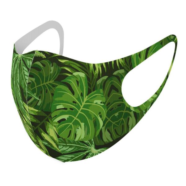 }XN 2Zbg fUC 􂦂 |GXe Y fB[X j  ǂ WjA c Aw A@΁@ 012097