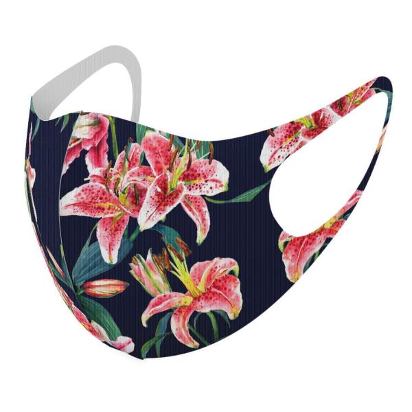 }XN 2Zbg fUC 􂦂 |GXe Y fB[X j  ǂ WjA c Aw ԁ@A@lCr[ 012130