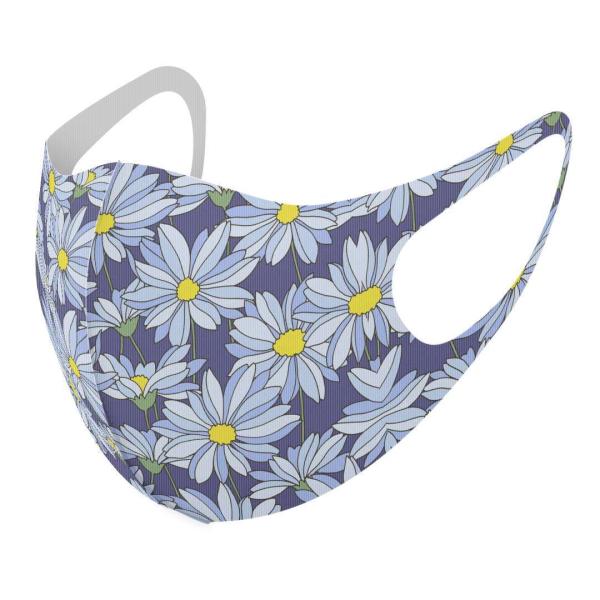 }XN 2Zbg fUC 􂦂 |GXe Y fB[X j  ǂ WjA c Aw ԕ@ԁ@ 012147