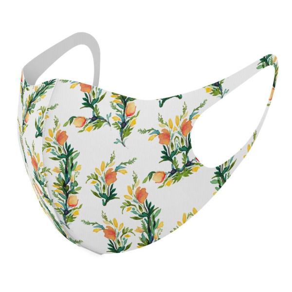 }XN 2Zbg fUC 􂦂 |GXe Y fB[X j  ǂ WjA c Aw ԁ@ԕ@ 012152