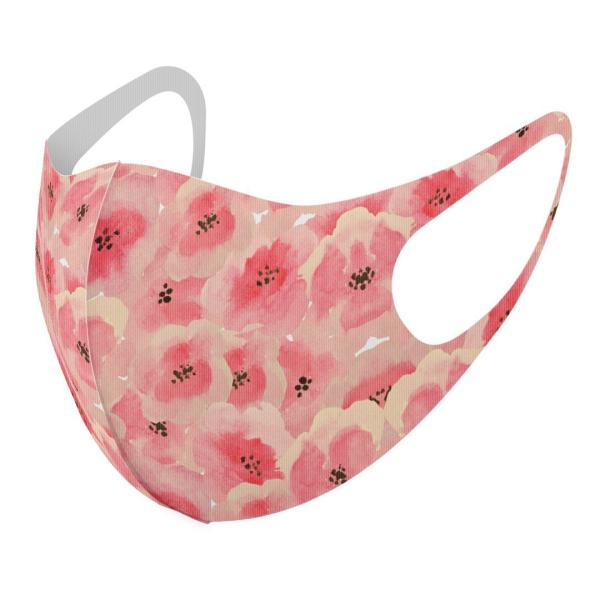 }XN 2Zbg fUC 􂦂 |GXe Y fB[X j  ǂ WjA c Aw ԁ@ԕ@sN 012157