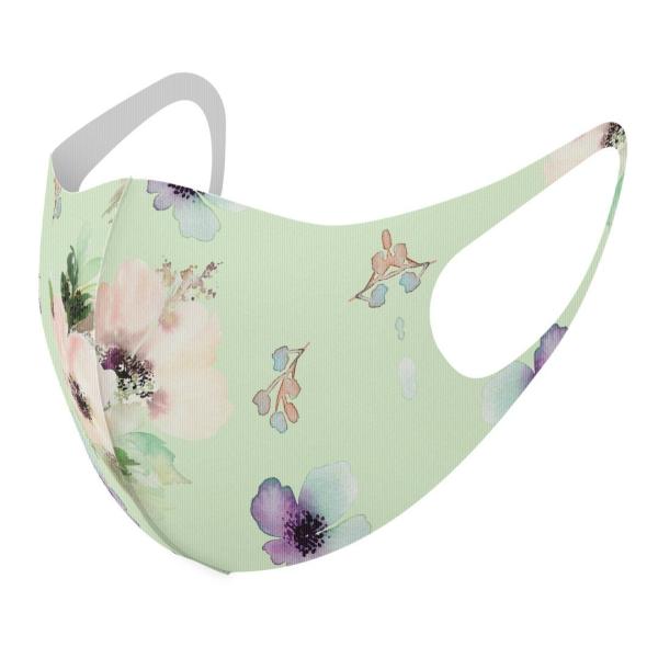 }XN 2Zbg fUC 􂦂 |GXe Y fB[X j  ǂ WjA c Aw ԁ@pXe@ԕ 012216