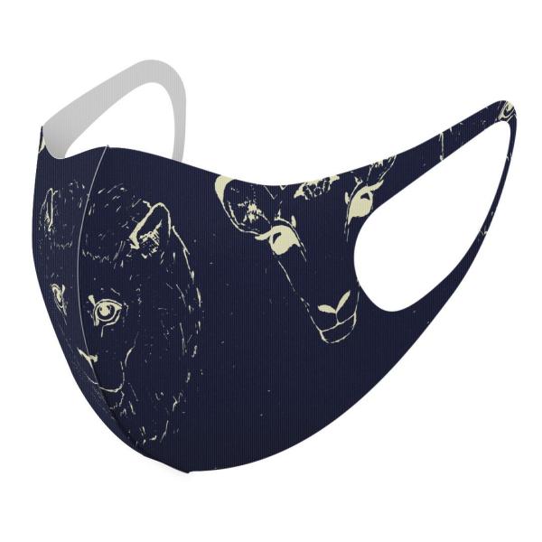 }XN 2Zbg fUC 􂦂 |GXe Y fB[X j  ǂ WjA c Aw CI@@ 012306