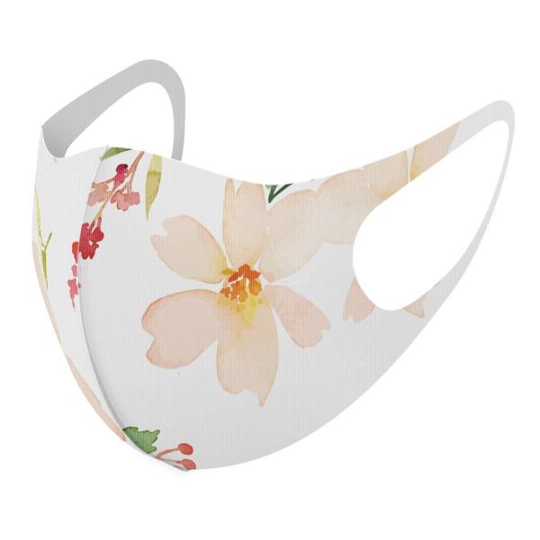 }XN 2Zbg fUC 􂦂 |GXe Y fB[X j  ǂ WjA c Aw ԁ@ԕ@ 012313