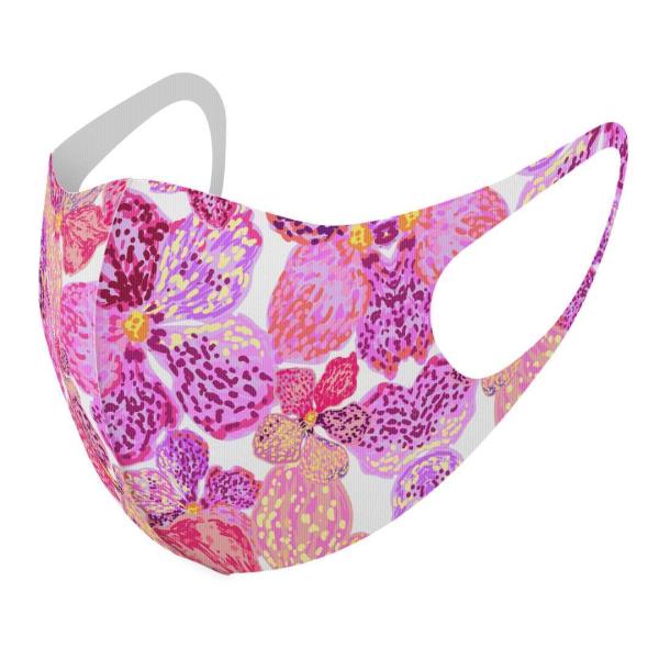 }XN 2Zbg fUC 􂦂 |GXe Y fB[X j  ǂ WjA c Aw ԁ@ԕ@sN 012607