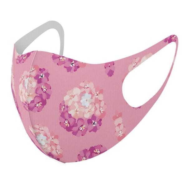 }XN 2Zbg fUC 􂦂 |GXe Y fB[X j  ǂ WjA c Aw ԁ@ԑ@sN 012658