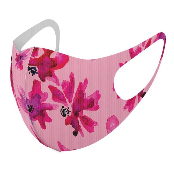 }XN 2Zbg fUC 􂦂 |GXe Y fB[X j  ǂ WjA c Aw sN@ԁ@ԕ 012719