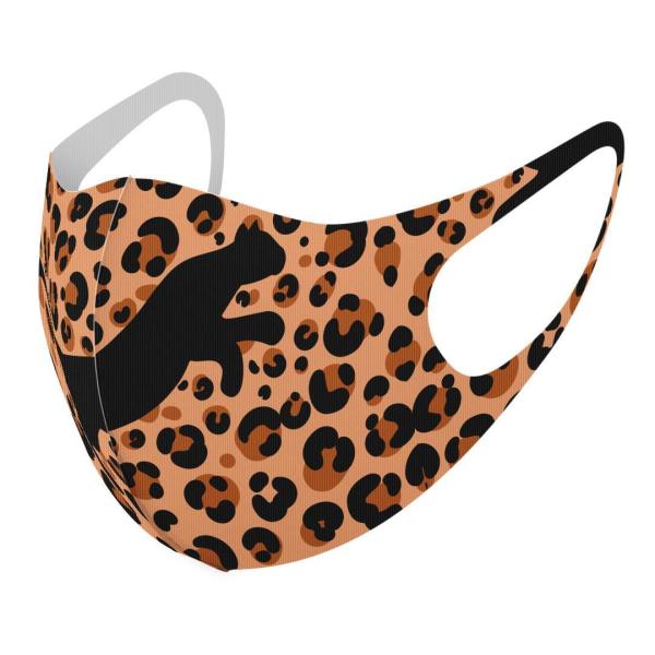 }XN 2Zbg fUC 􂦂 |GXe Y fB[X j  ǂ WjA c Aw ^@qE@VGbg 012734