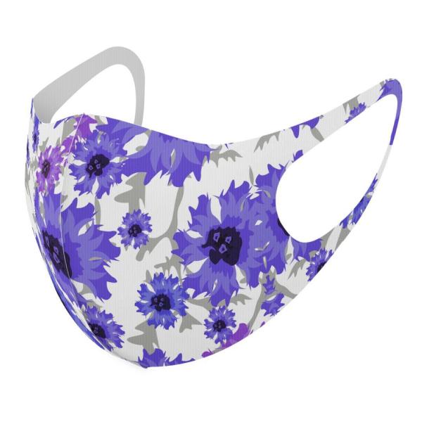 }XN 2Zbg fUC 􂦂 |GXe Y fB[X j  ǂ WjA c Aw ԁ@ԕ@ 012736