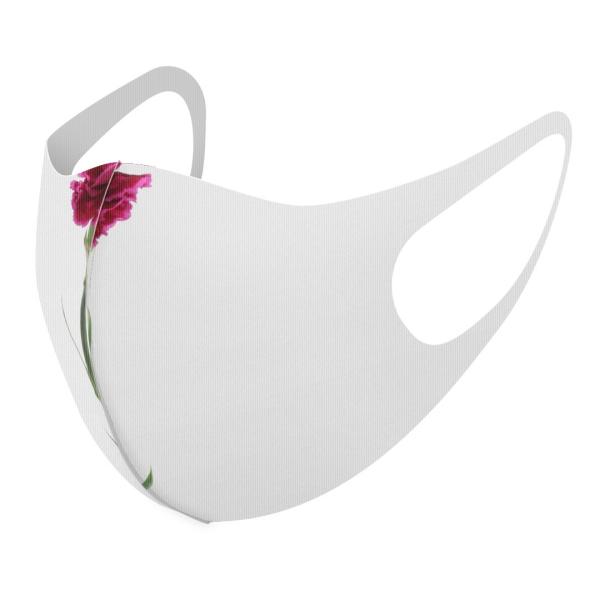 }XN 2Zbg fUC 􂦂 |GXe Y fB[X j  ǂ WjA c Aw ̓@J[l[V@ 012933