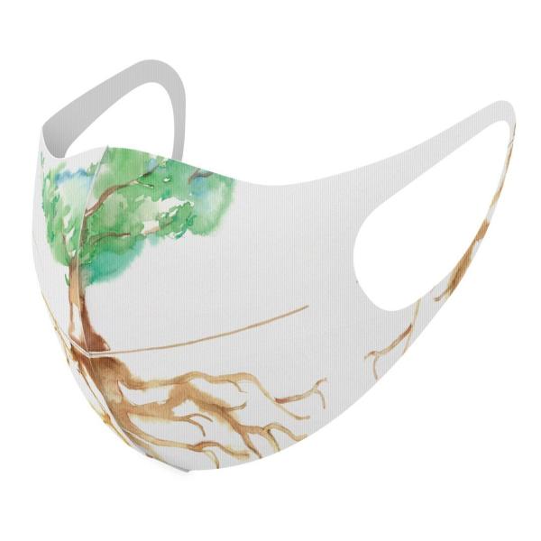 }XN 2Zbg fUC 􂦂 |GXe Y fB[X j  ǂ WjA c Aw ؁@ʁ@G 013277